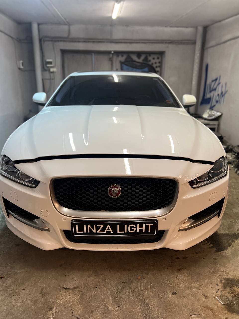 jaguar
